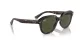 Ray-Ban Erik RB 0RB4398 902/31
