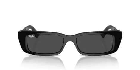 Ray-Ban Teru RB 4425 667787