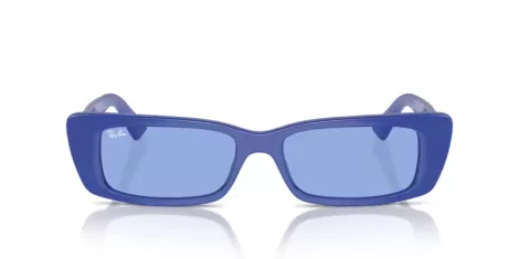 Ray-Ban Teru RB 4425 676180