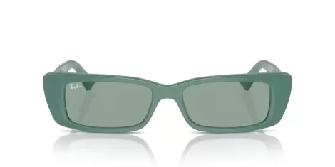 Ray-Ban Teru RB 4425 676282