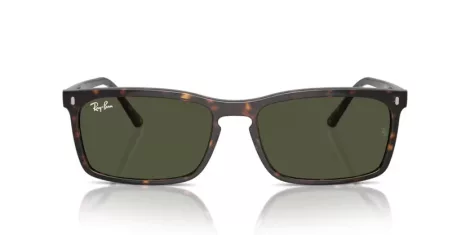 Ray-Ban RB 4435 902/31