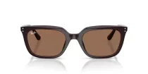 Ray-Ban RB 4439D 623173