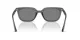 Ray-Ban RB 4439D 667587