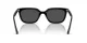 Ray-Ban RB 4439D 901/87
