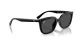Ray-Ban RB 4439D 901/87