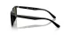 Ray-Ban RB 4439D 901/9A