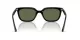 Ray-Ban RB 4439D 901/9A