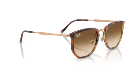 Ray-Ban RB 4451 680451