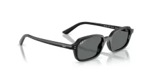Ray-Ban Zuri RB 4455 667781