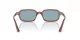 Ray-Ban Zuri RB 4455 680980