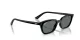 Ray-Ban Zaya RB 4456 667781