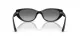 Ray-Ban RB 4457D 667711