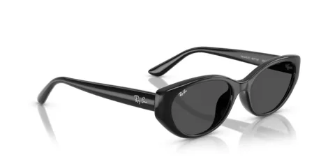 Ray-Ban RB 4457D 667787