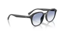 Ray-Ban RB 4459D 623019
