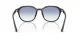Ray-Ban RB 4459D 623019