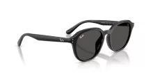 Ray-Ban RB 4459D 901/87