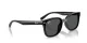 Ray-Ban RB 4461D 601/87