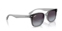 Ray-Ban RB 4461D 64508G