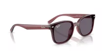 Ray-Ban RB 4461D 659373