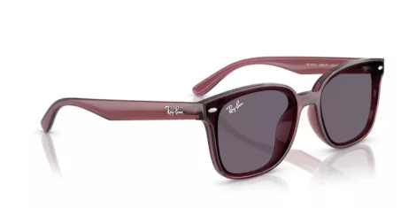 Ray-Ban RB 4461D 659373