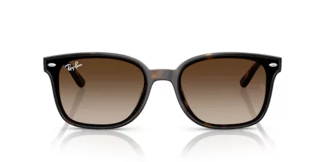 Ray-Ban RB 4461D 710/13