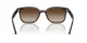 Ray-Ban RB 4461D 710/13