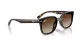 Ray-Ban RB 4461D 710/13