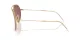 Ray-Ban Aviator Reverse RB R0101S 001/69