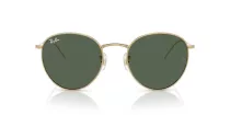 Ray-Ban Round Reverse RB R0103S 001/VR