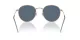 Ray-Ban Round Reverse RB R0103S 92023A