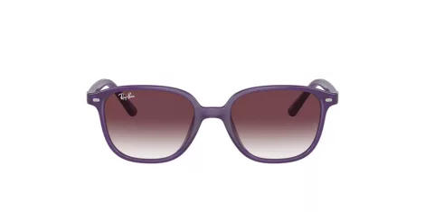 Ray-Ban Junior Leonard RJ 9093S 713136