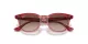 Ray-Ban RJ 9098S 715413