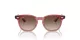 Ray-Ban RJ 9098S 715413