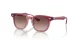 Ray-Ban RJ 9098S 715413