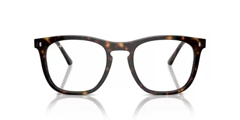 Ray-Ban RX 2210V 2012