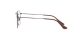 Ray-Ban Round Metal RX 3447V 3120