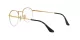 Ray-Ban Round Gaze RX 3947V 2500