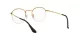 Ray-Ban Round Gaze RX 3947V 2500