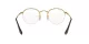 Ray-Ban Round Gaze RX 3947V 2500