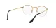 Ray-Ban Round Gaze RX 3947V 2500