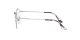 Ray-Ban Round Gaze RX 3947V 2501