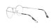 Ray-Ban Round Gaze RX 3947V 2501