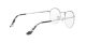 Ray-Ban Round Gaze RX 3947V 2501