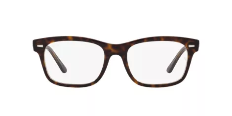 Ray-Ban Mr Burbank RX 5383 8285