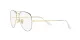 Ray-Ban Aviator RX 6489 2890