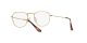 Ray-Ban Frank RX 8157V 1226