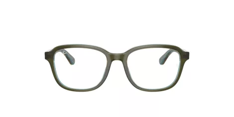 Ray-Ban RY 1627 3946