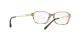 Sferoflex SF 1557B C589 Sferoflex SF 1557B C589