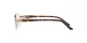 Sferoflex SF 2570 488 Sferoflex SF 2570 488