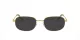 Swarovski SK 1005 4004